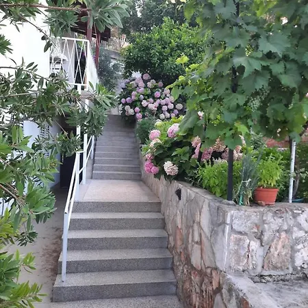 New And Modern Franicevic Renovated In 2026 Appartamento *