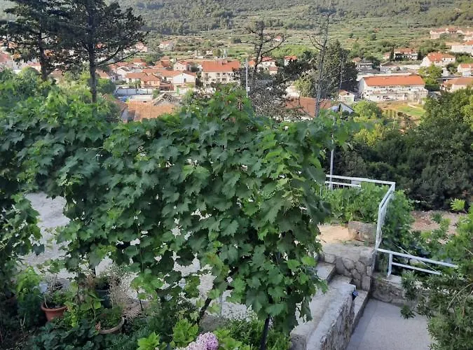 Apartment Franicevic With Spacious Terrace And Beautiful View