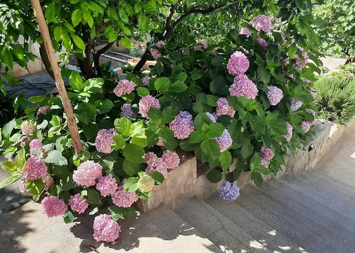 Franicevic With Spacious Terrace And Beautiful View Apartment